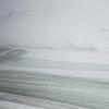 A snowfall (16)